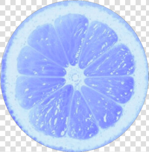   circle  limon  blue  circulo  png  tumblr  colors   Transparent Background Lemon Slice Png  Png Download