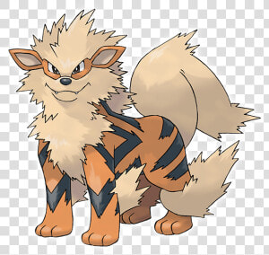 Arcanine Pokemon  HD Png Download