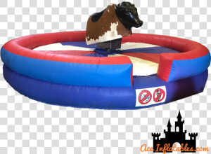 Bulls Png   Png Download   Rodeo Bull  Transparent Png