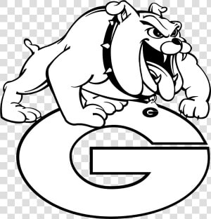 Drawing Bulldogs Baby Transparent Png Clipart Free   Bowie State University  Png Download