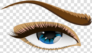 Occhio   Eye Png File Clipart  Transparent Png