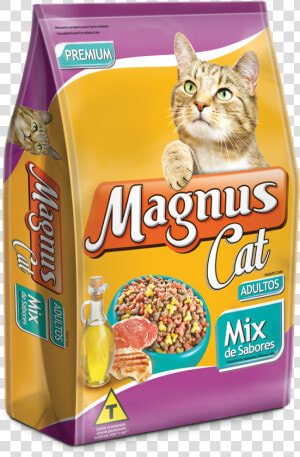 Gatos Png  Transparent Png