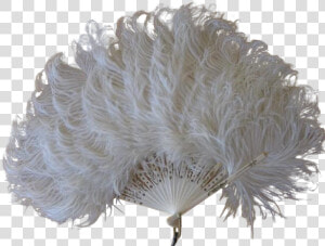 Transparent Feathers Vintage   White Feather Fans Png Transparent  Png Download