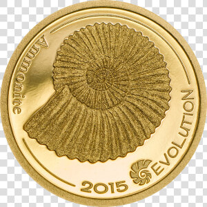 Evolution Of Life 2015 Gold Ammonite  HD Png Download