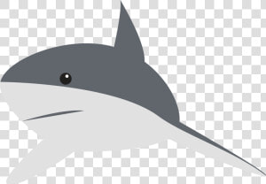 Shark Animation Clip Art   Clipart Cartoon Shark  HD Png Download