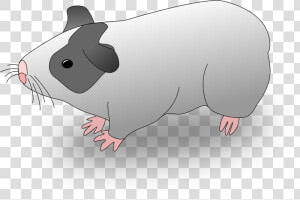 Marmut Kartun  HD Png Download