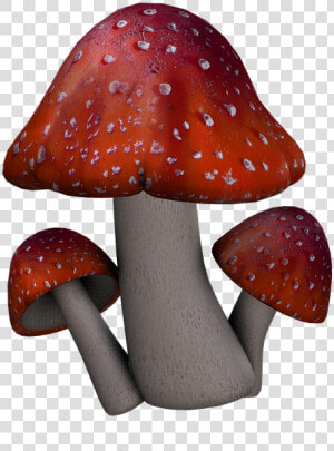 Red Mushroom Png   Fantasy Mushrooms Png  Transparent Png