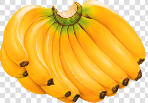 Transparent Banana Clipart   Fruits Banana Png  Png Download
