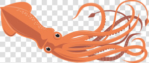 Transparent Squid Girl Png   Squid Clipart  Png Download