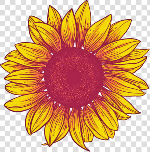Sunflower Png Background   Transparent Background Sunflower Png  Png Download