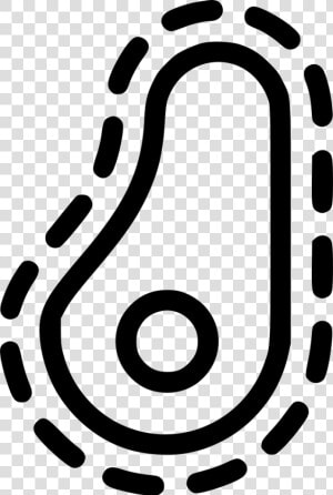 Bacteria  HD Png Download