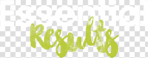 Essential Grammar In Use 4th Edition  HD Png Download