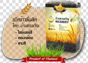ข้าว ปลอด สาร พิษ  HD Png Download