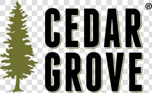 Cedar Tree Png  Transparent Png