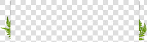 Parallel  HD Png Download