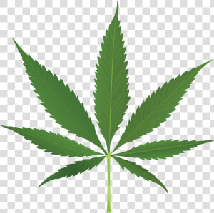 Thug Life Weed Leaf   Transparent Background Cannabis Leaf  HD Png Download