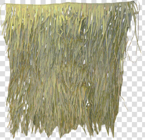 Avery Real Grass   Thread  HD Png Download
