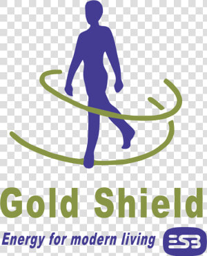 Gold Shield Logo Png Transparent   Shield  Png Download