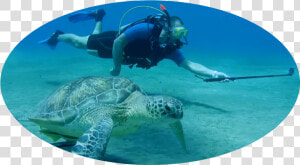 Underwater  HD Png Download