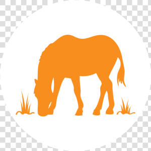 Horse  amp  Farm Committee Icon   Down Steal This Album  HD Png Download