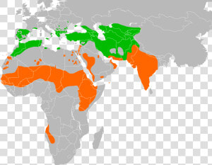 Neophron Percnopterus Distribution   India To Oman Map  HD Png Download