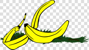 Banana Peel Slippery  HD Png Download