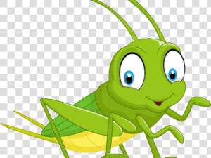 Cartoon Grasshopper   Cartoon Cricket Insect Drawing  HD Png Download