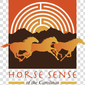 Hsotc Logo   Horses Senses  HD Png Download