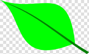 Permalink To Green Leaf Clipart   Clipart Green Leaf  HD Png Download