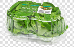 Butter Clam 2ct New   Spinach  HD Png Download