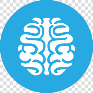 Psychology Brain Png   Brain Free Icon Png  Transparent Png