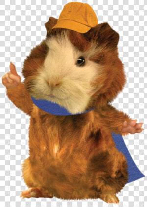 Hamster From Wonder Pets  HD Png Download