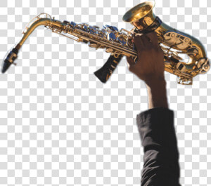 Musician  HD Png Download