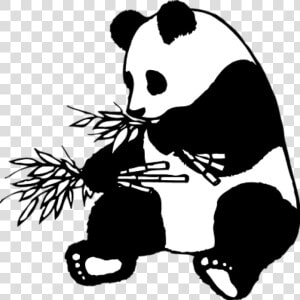 28 Collection Of Panda Clipart Black And White   Panda Clipart Black And White  HD Png Download