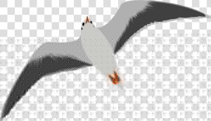 Download Gull Bird Png Transparent Images Transparent   Seagull Clip Art  Png Download