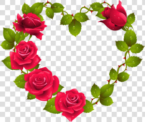 Red Rose Flower Border Design Png   Beautiful Rose Image Download  Transparent Png