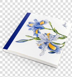 Picture Of Flower Desk Iris   Iris  HD Png Download