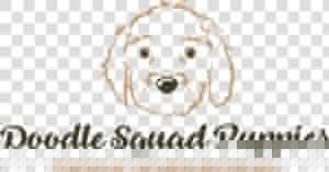 Doodle Squad Puppies   Illustration  HD Png Download