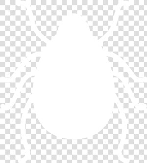 Weevil  HD Png Download