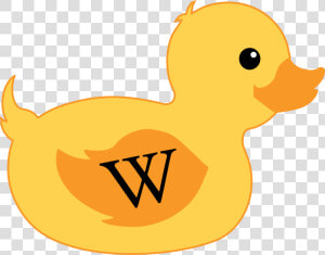 Rubber Duck Png Image Background   Duck  Transparent Png