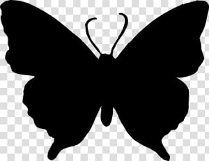 Butterfly Silhouette Clip Art   Butterfly Png Black And White  Transparent Png