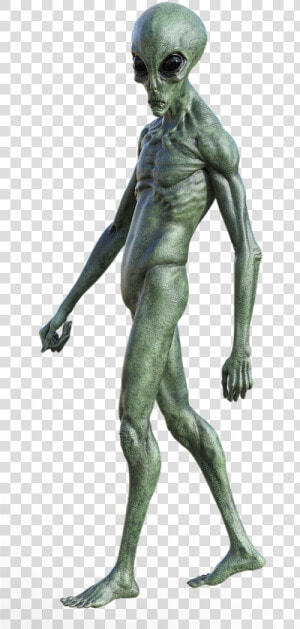 Transparent Alien Png   Alien Png  Png Download