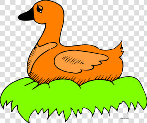 Orange Duck In Nest Clip Art Clipart Png   Duck On The Nest Clipart  Transparent Png