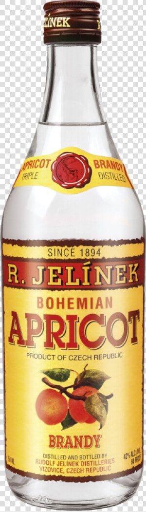 Bohemian Png  Transparent Png