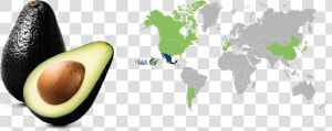 World Map Countries White Background  HD Png Download