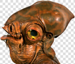 Star Wars Species  HD Png Download