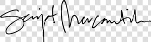 Pennant Banner Png  Transparent Png