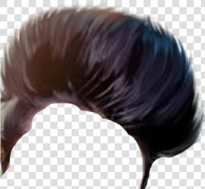 Cb Hair Png   Png Background Halkat Chora  Transparent Png