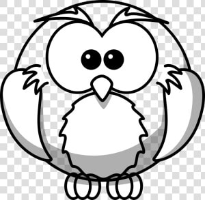 Line Art Owls  HD Png Download