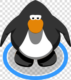 Black Dress Shoes Ingame   Club Penguin Penguin Png  Transparent Png